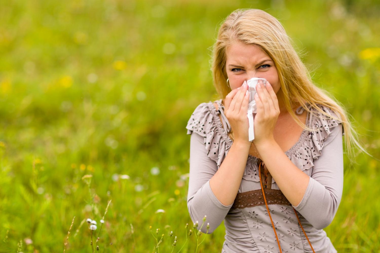 Thumbnail for Hayfever and effective over the counter treatments